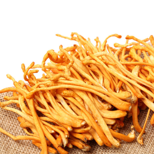 Các Sử Dụng Đông Trùng Hạ Thảo Sấy Thăng Hoa Tối Ưu